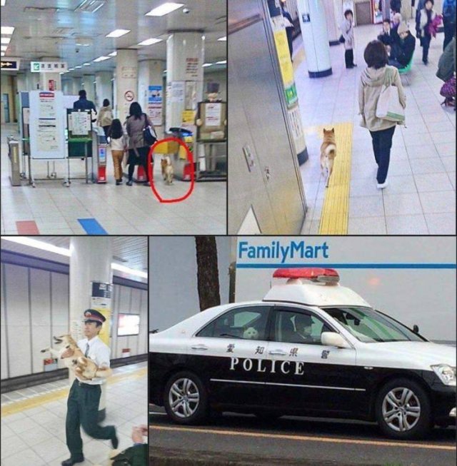 Acid Picdump. Part 2 (97 pics)