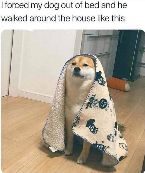 Acid Picdump. Part 2 (97 pics)