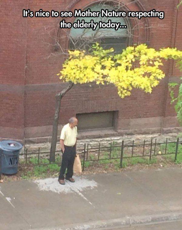Acid Picdump. Part 2 (97 pics)