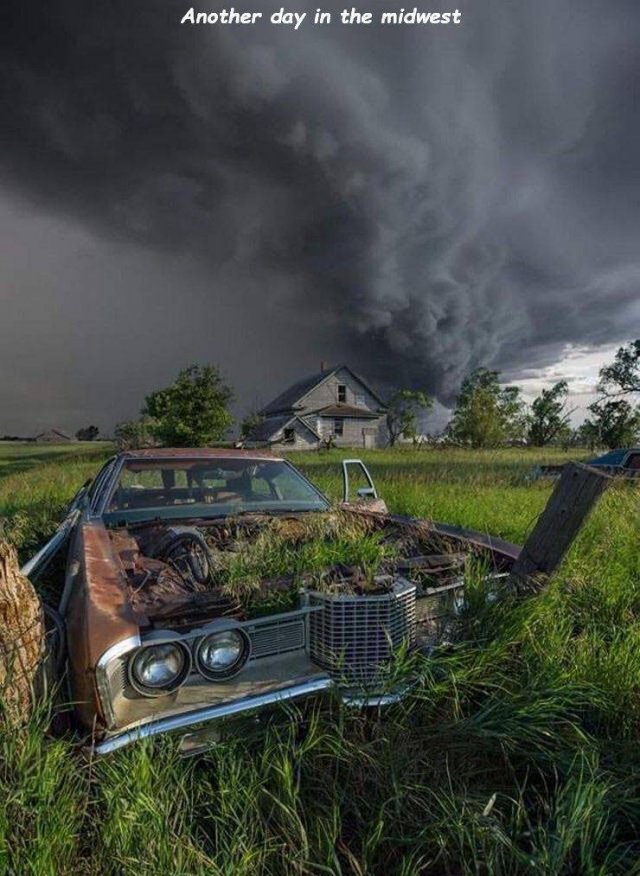 Acid Picdump. Part 2 (97 pics)