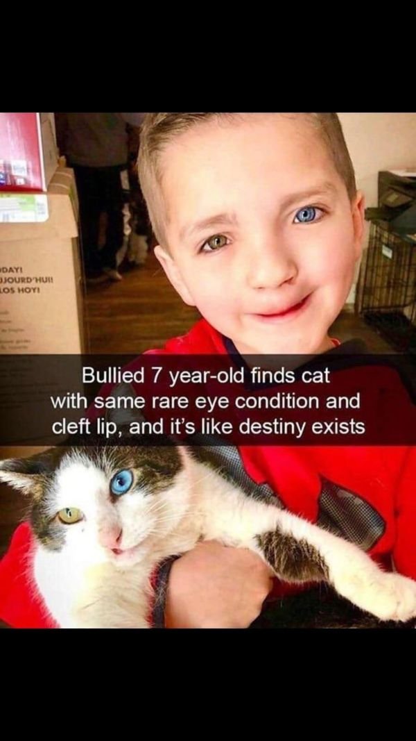 What Are The Odds (29 pics) What Are The Odds (29 pics)
