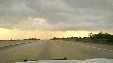 What Are The Odds (29 pics)