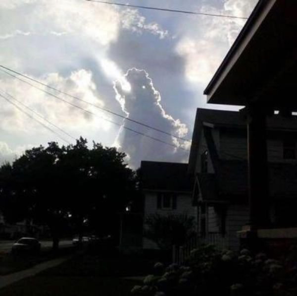 What Are The Odds (29 pics)