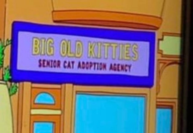 Awesome Businesses In Cartoons (23 pics)