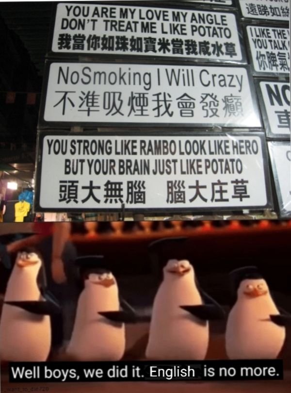 Funny Translations (25 pics)