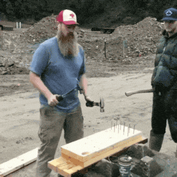 Nailed It (18 gifs)