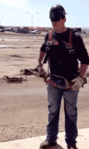 Nailed It (18 gifs)