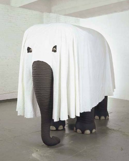 Acid Picdump. Part 1 (98 pics)