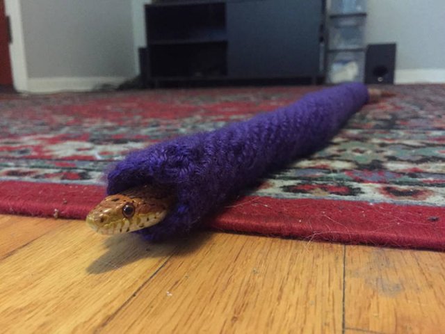 Acid Picdump. Part 1 (98 pics)