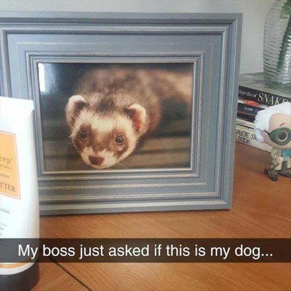 Acid Picdump. Part 1 (98 pics)