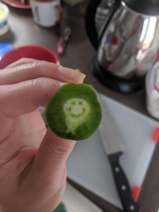 Acid Picdump. Part 1 (98 pics)
