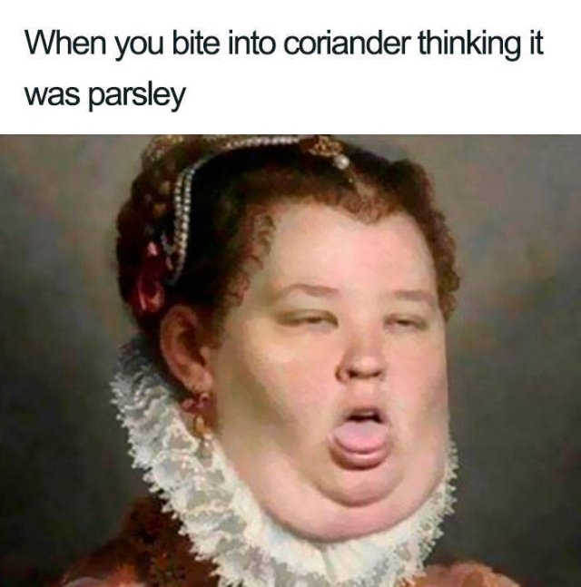People Hate Coriander (50 pics)