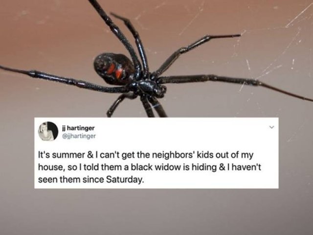 Summer Break Is A Difficult Time For Parents (25 pics)