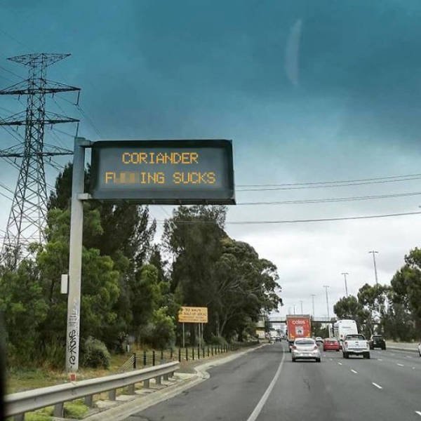 People Hate Coriander (50 pics)