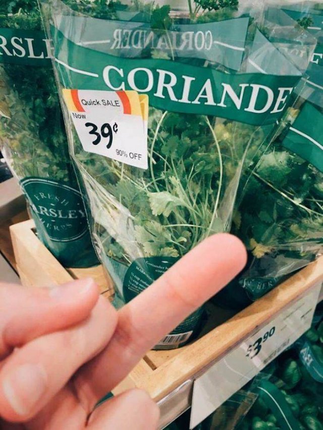 People Hate Coriander (50 pics)
