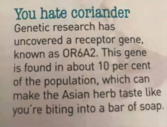 People Hate Coriander (50 pics)