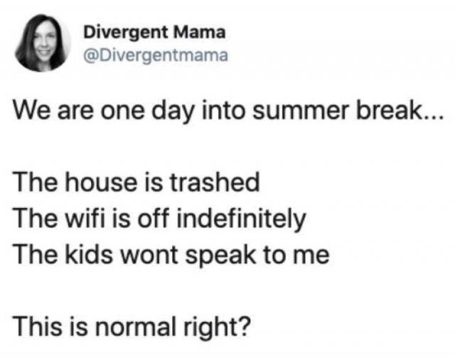 Summer Break Is A Difficult Time For Parents (25 pics)