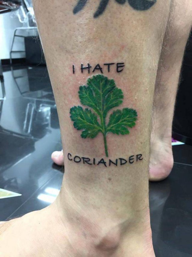People Hate Coriander (50 pics)