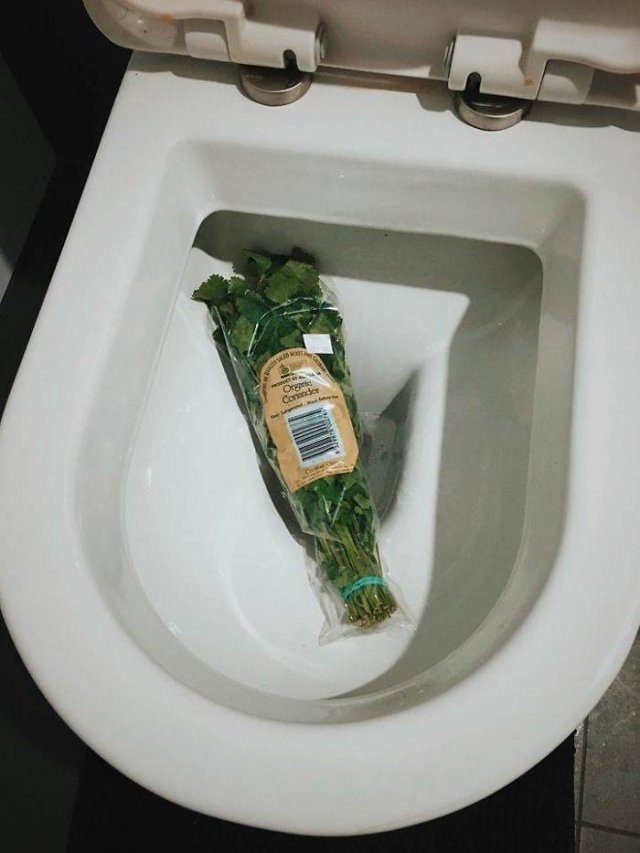 People Hate Coriander (50 pics)