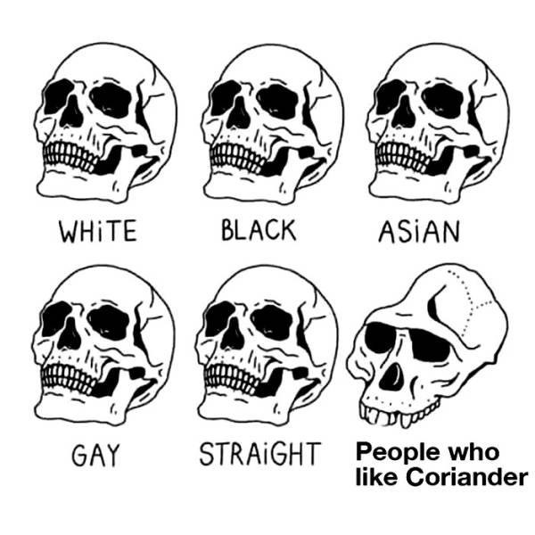 People Hate Coriander (50 pics)