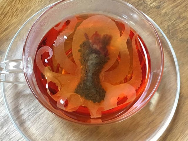 Sea Tea Bags (10 pics)