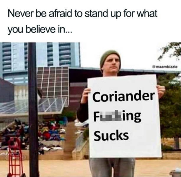 People Hate Coriander (50 pics)