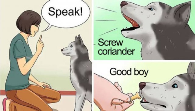 People Hate Coriander (50 pics)