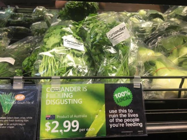 People Hate Coriander (50 pics)