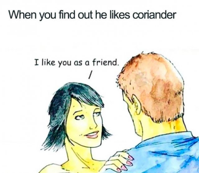 People Hate Coriander (50 pics)