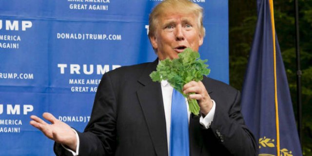 People Hate Coriander (50 pics)