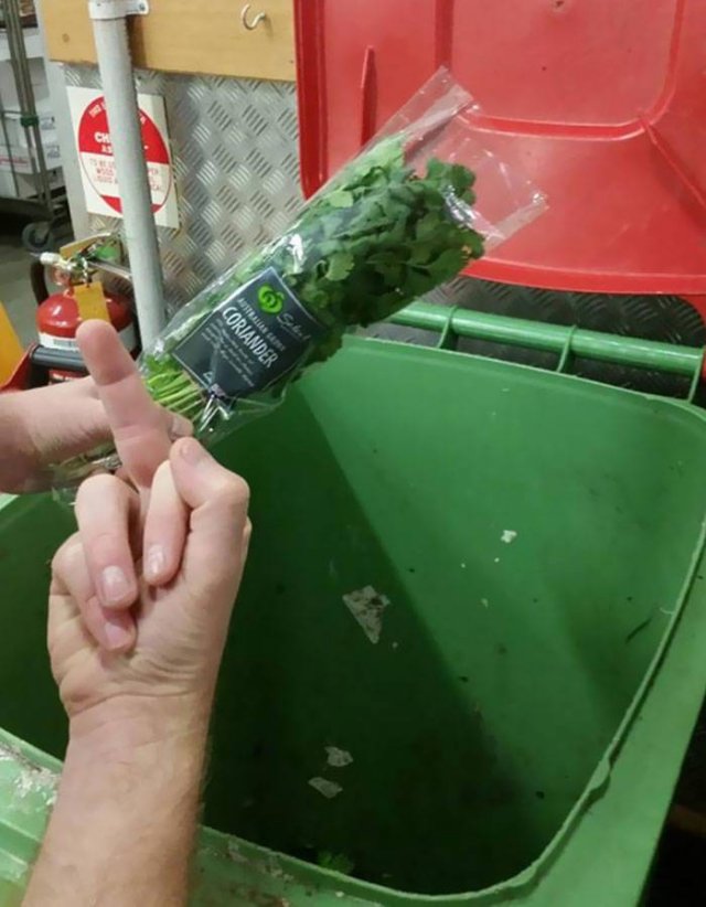 People Hate Coriander (50 pics)