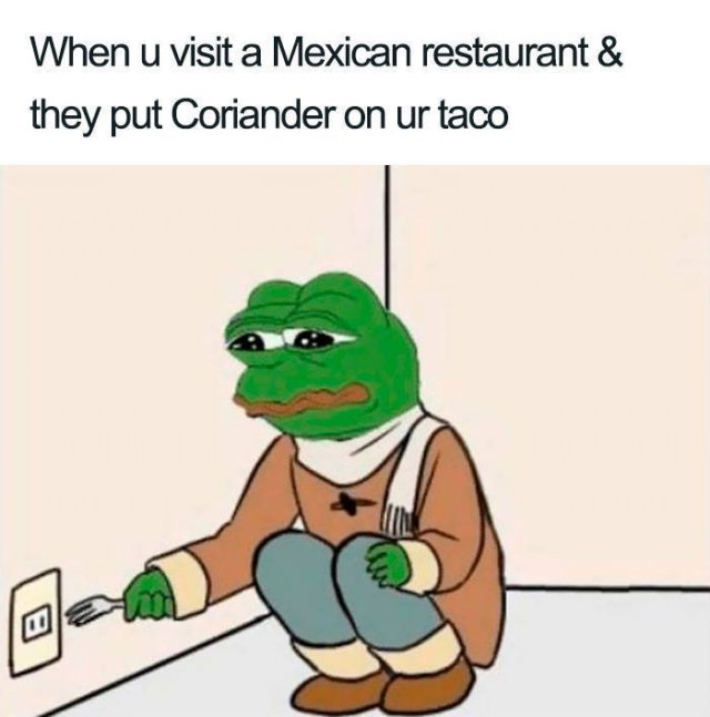 People Hate Coriander (50 pics)