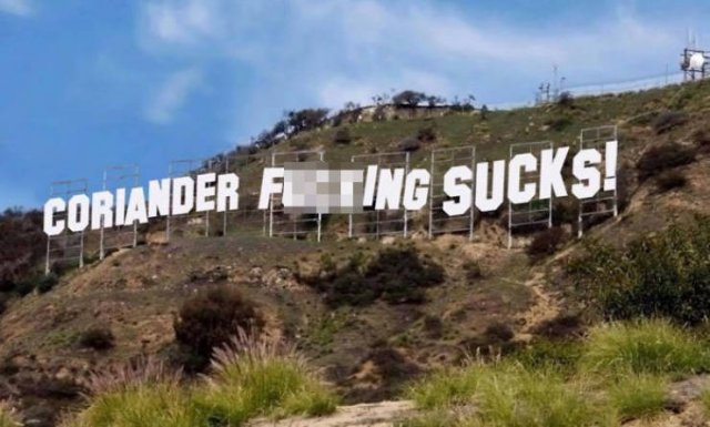 People Hate Coriander (50 pics)