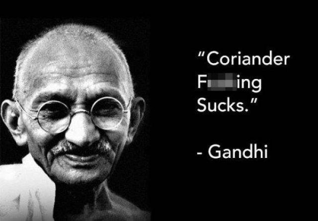 People Hate Coriander (50 pics)