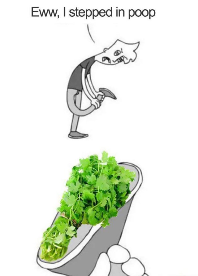 People Hate Coriander (50 pics)