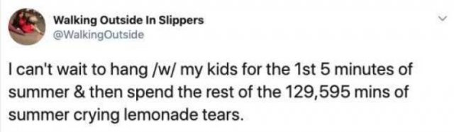 Summer Break Is A Difficult Time For Parents (25 pics)