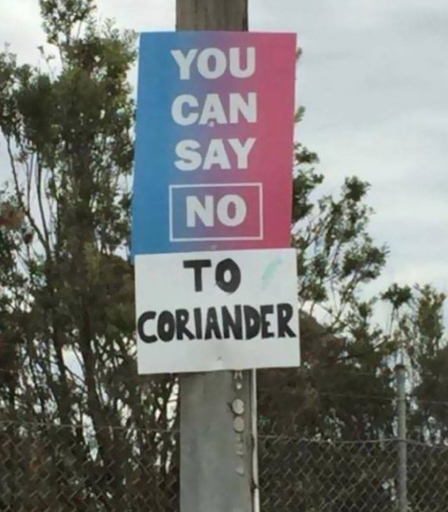 People Hate Coriander (50 pics)