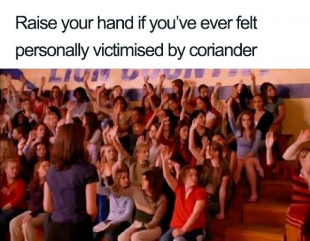 People Hate Coriander (50 pics)