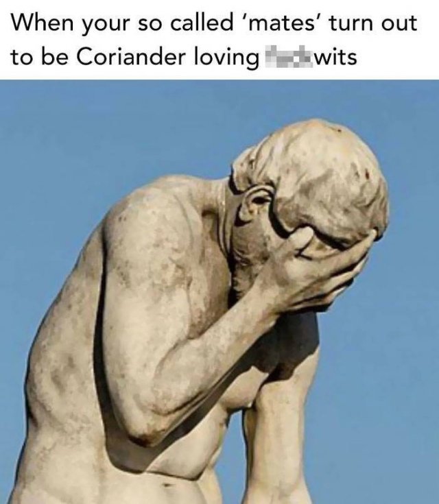 People Hate Coriander (50 pics)