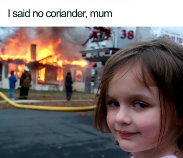 People Hate Coriander (50 pics)