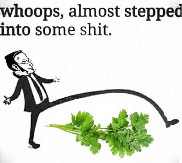 People Hate Coriander (50 pics)