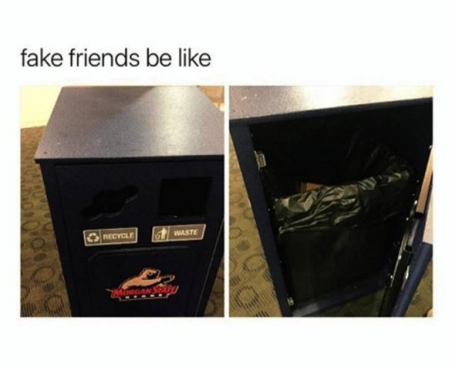 Memes About Fake Friends (28 pics)