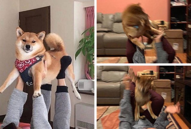 Expectations Vs Reality (21 pics)