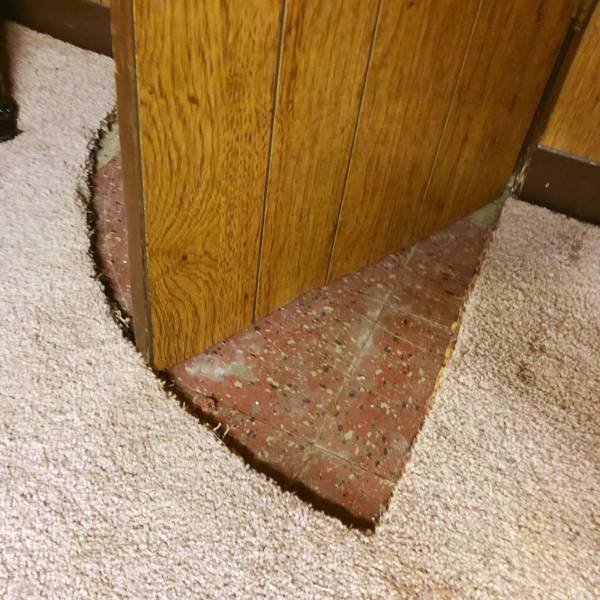 Totally Nailed It (52 pics)