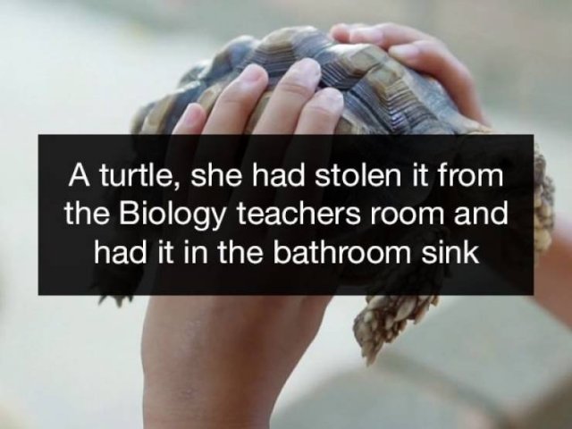 Weird Things Confiscated By Teachers (18 pics)