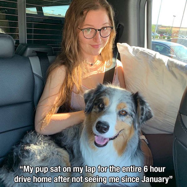 This World Is A Great Place (59 pics)