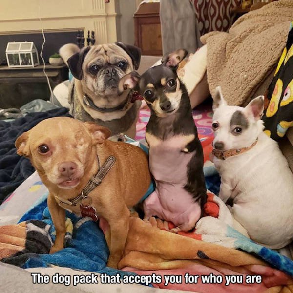 This World Is A Great Place (59 pics)