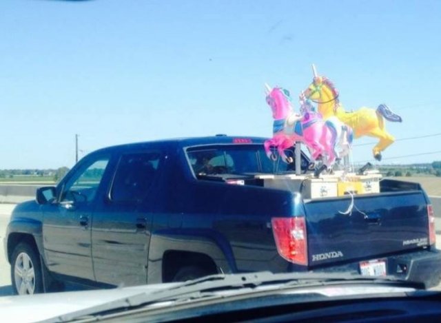 Nothing Can Stop Them (30 pics) Nothing Can Stop Them (30 pics)