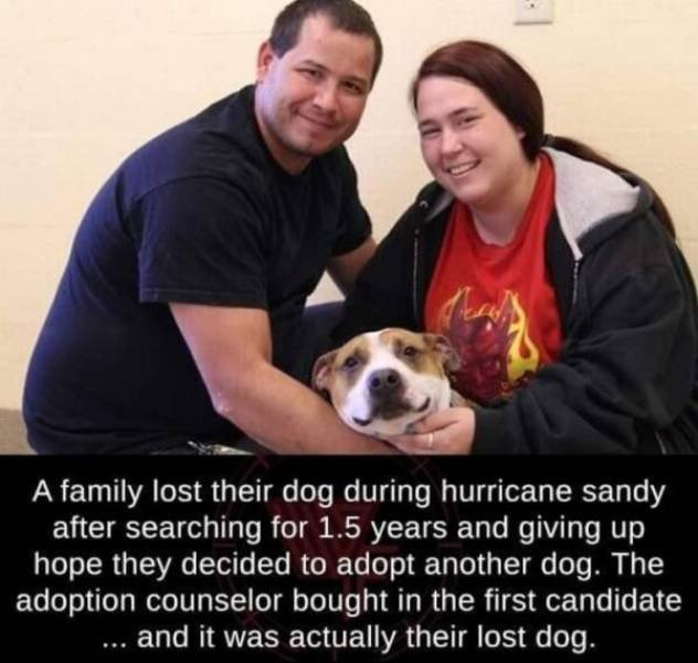 This World Is A Great Place (59 pics)
