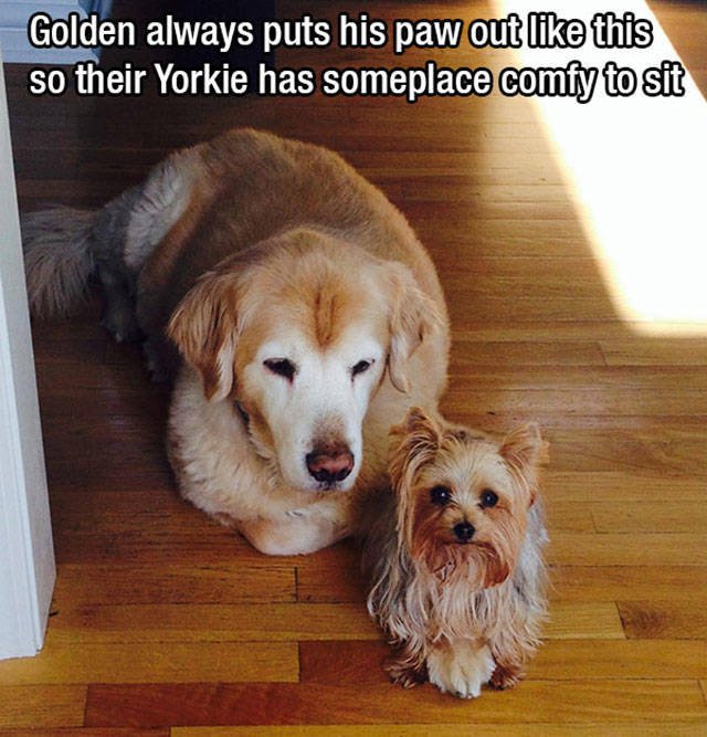 This World Is A Great Place (59 pics)